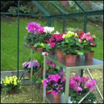 Greenhouse Table